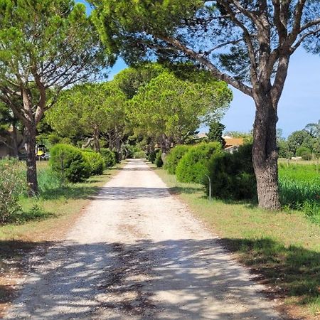 Mas Du Grand Peloux Otel Port-Saint-Louis-du-Rhône Dış mekan fotoğraf