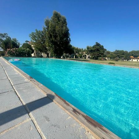 Mas Du Grand Peloux Otel Port-Saint-Louis-du-Rhône Dış mekan fotoğraf